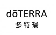 多特瑞“治愈之手”基金会迎来15周年庆