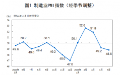 国家统计局：5月官方制造业PMI为48.8% 比上月下降0.4个百分点